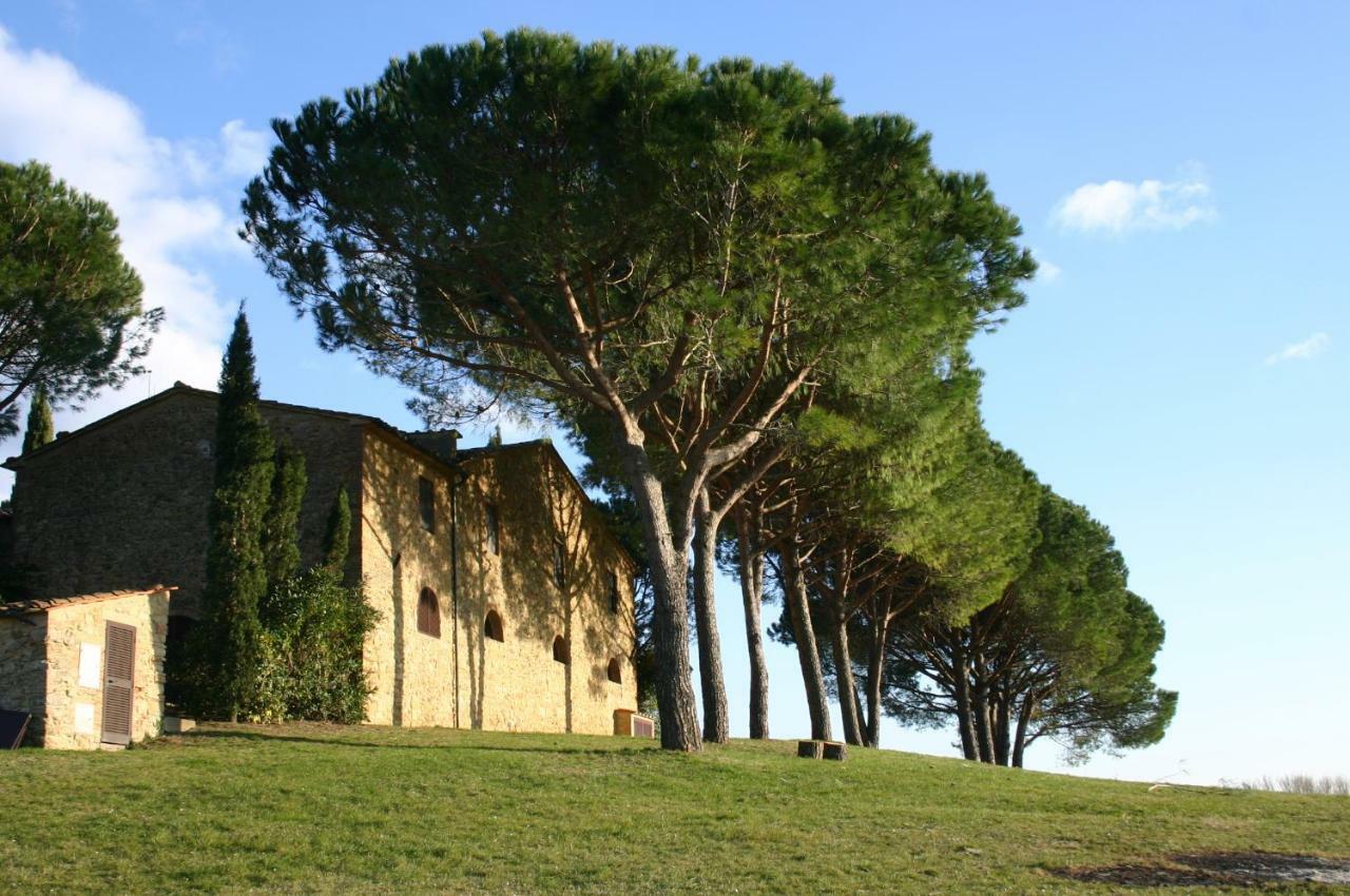 Ferienwohnung Casalevecchio Casale Marittimo Exterior foto